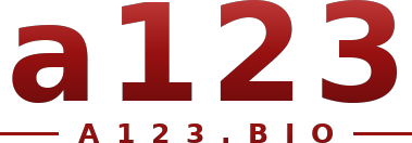 a123 logo